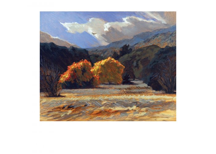 Robert Schick Artist Robert C. Schick Artist Bay Area Mountain View CA